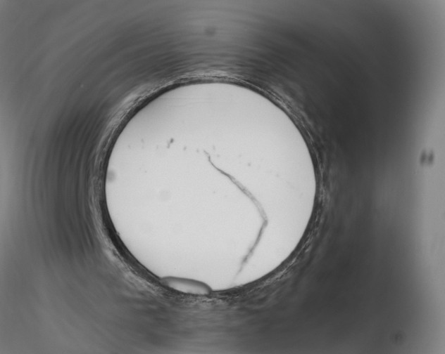 X0000115500193200912041045