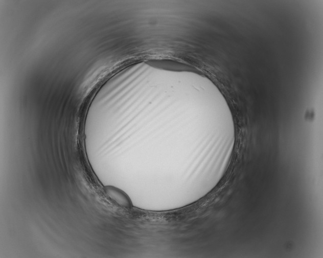 X0000115500194200912041045