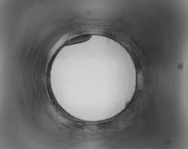X0000115500195200912041045