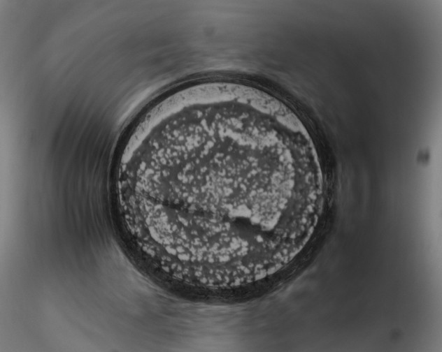 X0000115500196200912041045