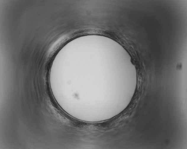 X0000115500197200912041045