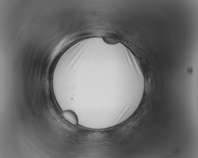 X0000115500198200912041045