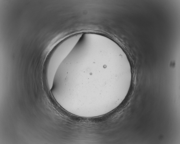 X0000115500199200912041045