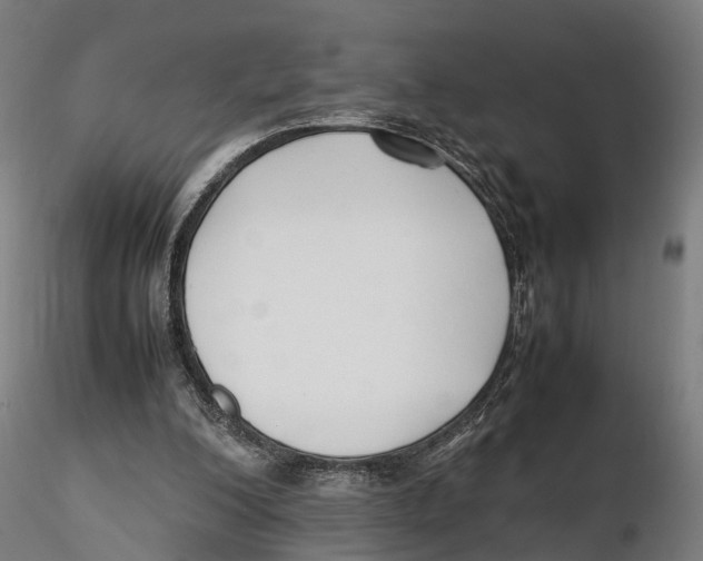 X0000115500200200912041045