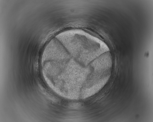 X0000115500202200912041045
