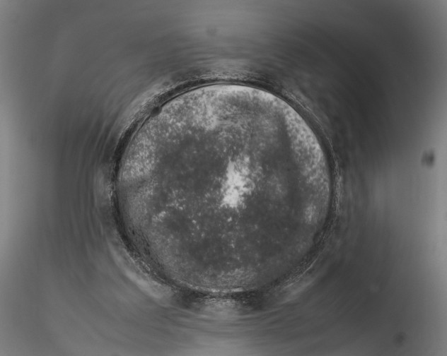 X0000115500203200912041045