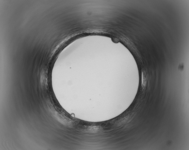 X0000115500204200912041045