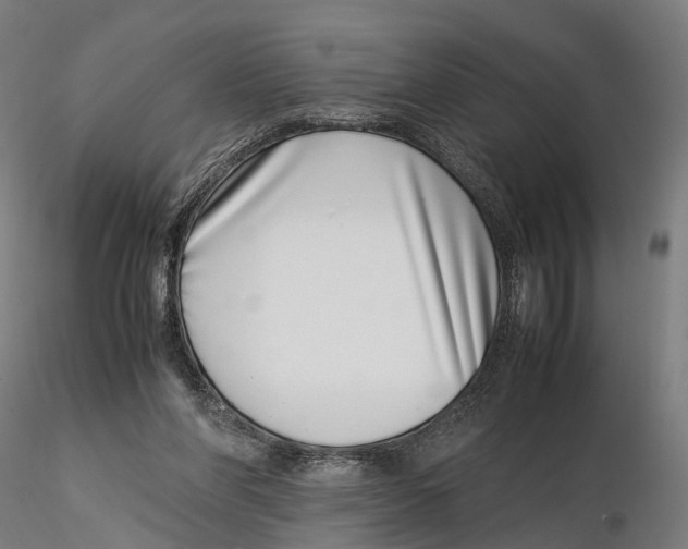 X0000115500206200912041045