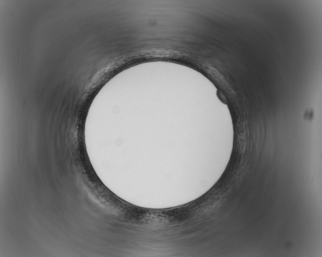 X0000115500207200912041045