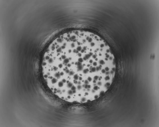 X0000115500208200912041045