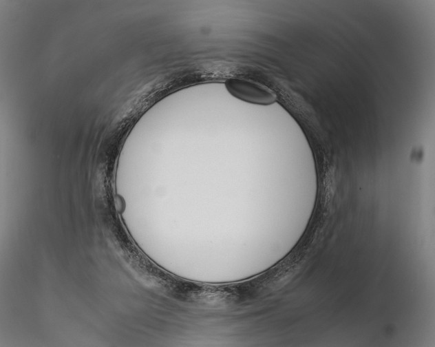 X0000115500209200912041045