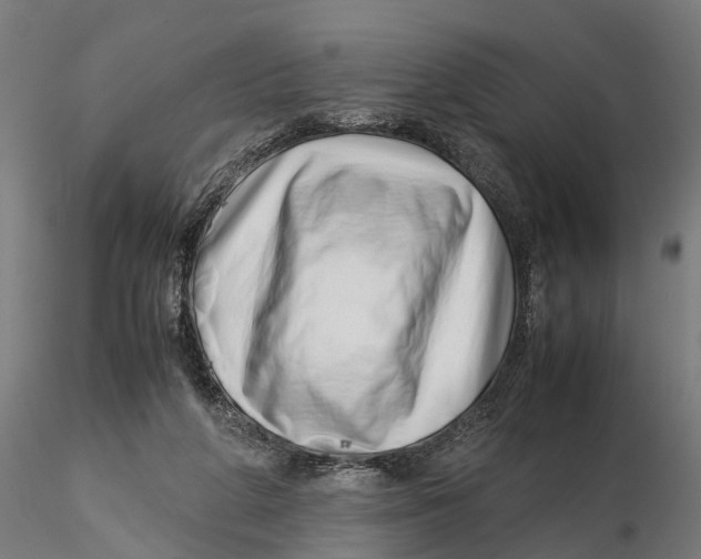 X0000115500210200912041045