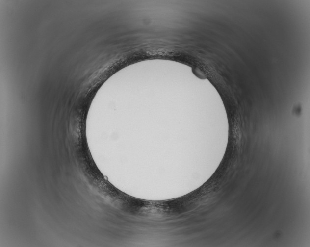X0000115500211200912041045
