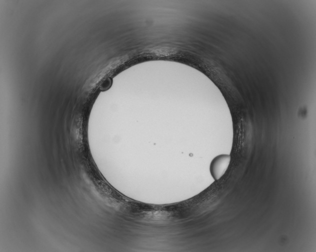 X0000115500212200912041045