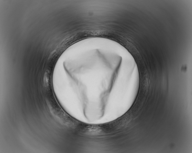 X0000115500214200912041045