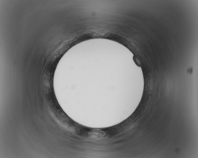X0000115500215200912041045