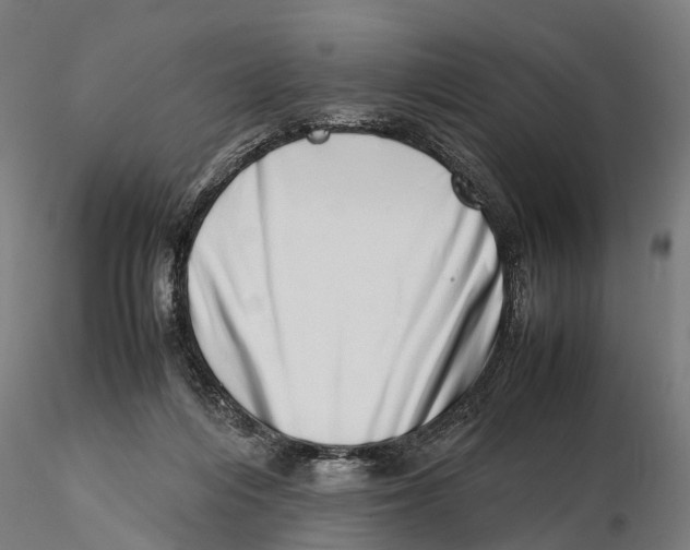 X0000115500216200912041045