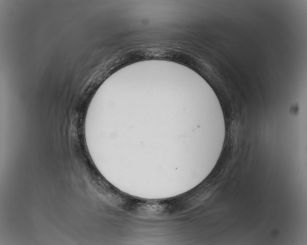X0000115500217200912041045