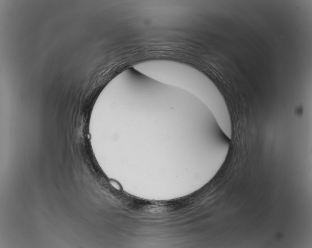 X0000115500219200912041045