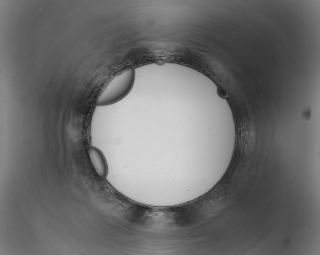 X0000115500221200912041045