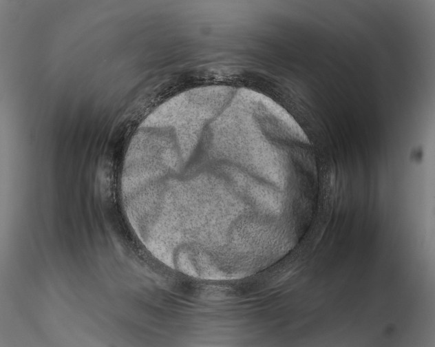 X0000115500222200912041045