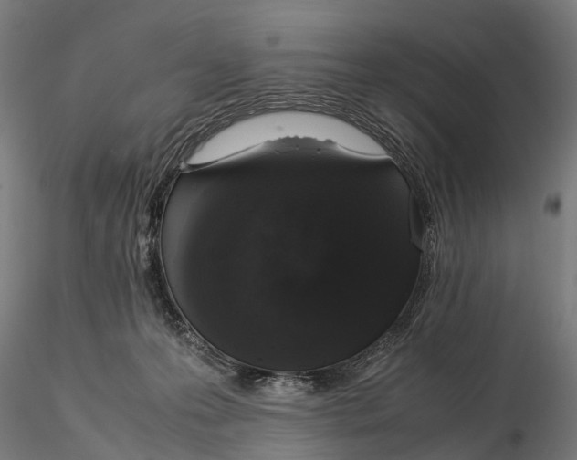 X0000115500223200912041045
