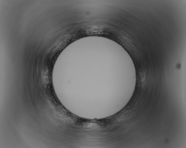 X0000115500224200912041045