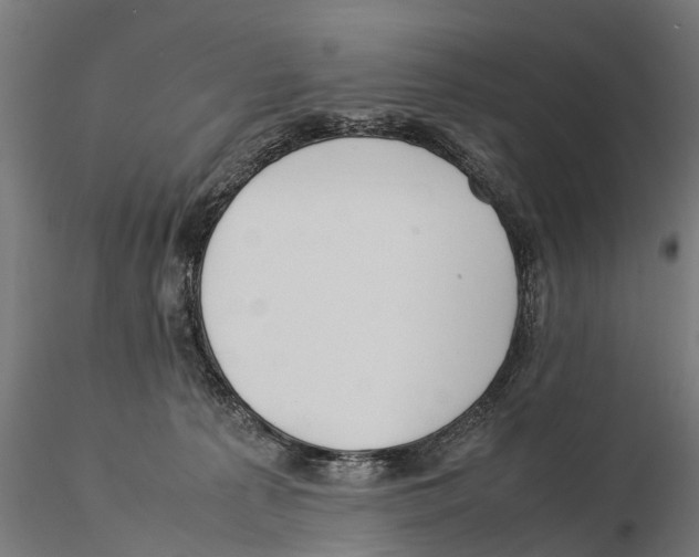 X0000115500225200912041045