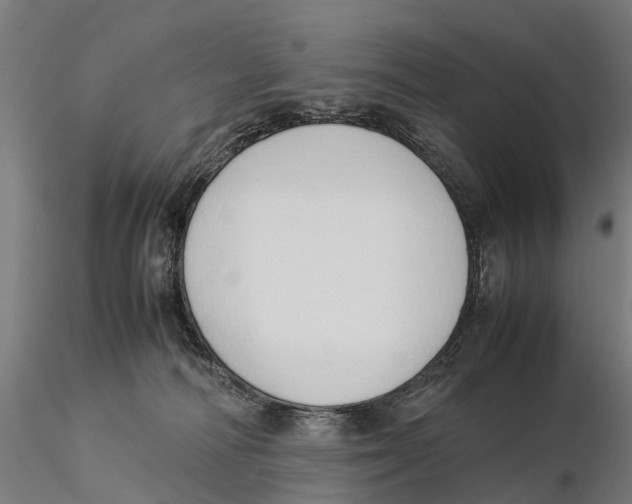 X0000115500226200912041045