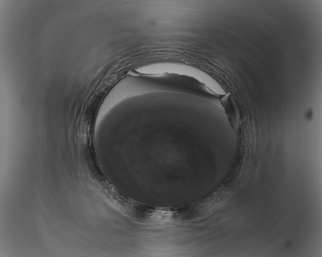 X0000115500227200912041045