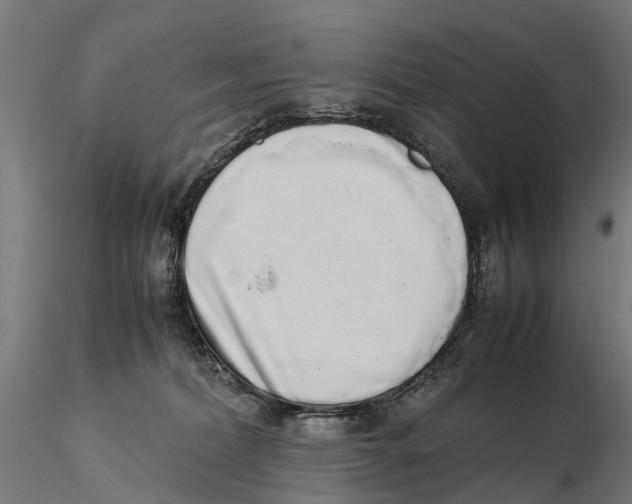 X0000115500228200912041045