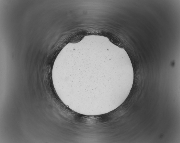 X0000115500229200912041045