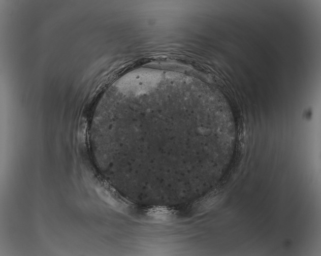 X0000115500231200912041045