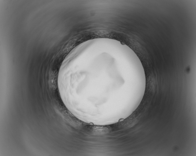 X0000115500234200912041045