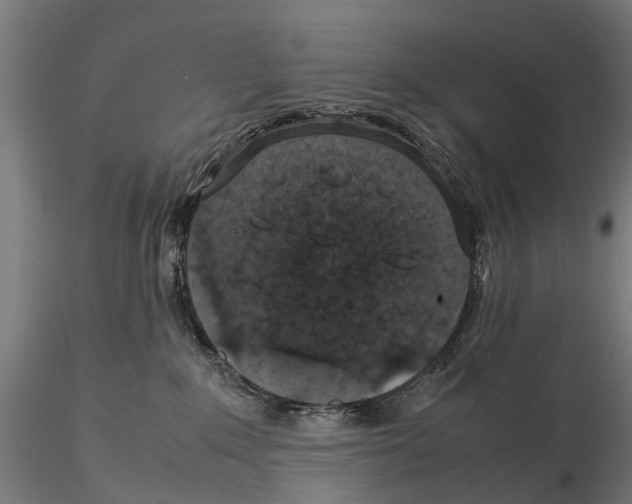 X0000115500235200912041045