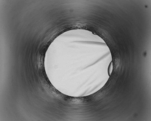 X0000115500236200912041045