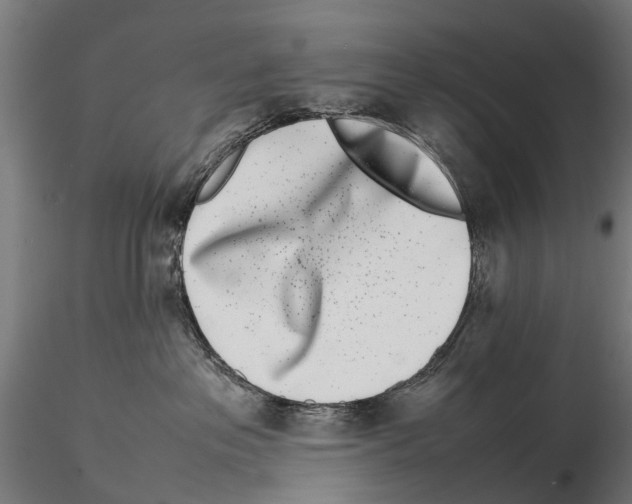 X0000115500237200912041045