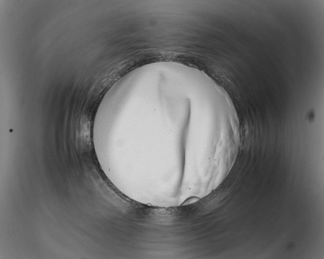 X0000115500238200912041045