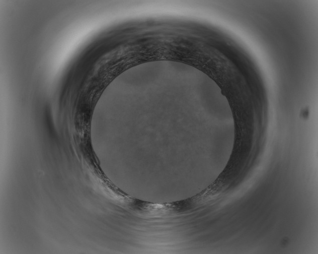X0000115500239200912041045