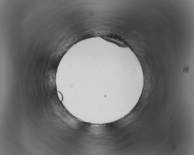 X0000115500240200912041045