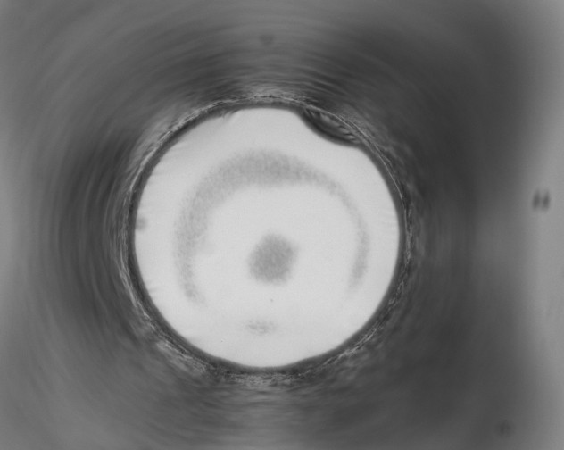 X0000115500241200912041044