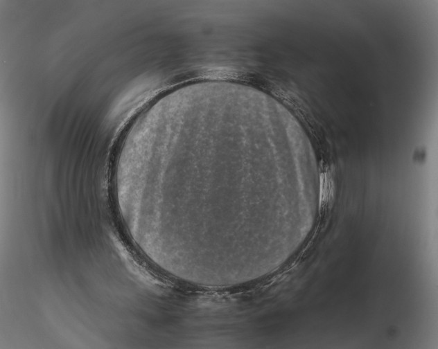 X0000115500243200912041044