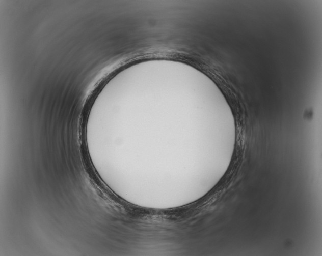 X0000115500244200912041044