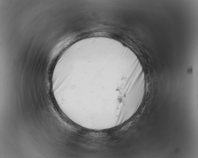 X0000115500245200912041044