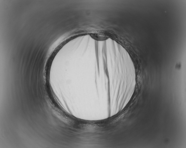 X0000115500246200912041044