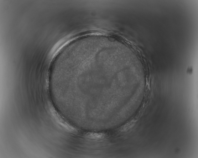 X0000115500247200912041044