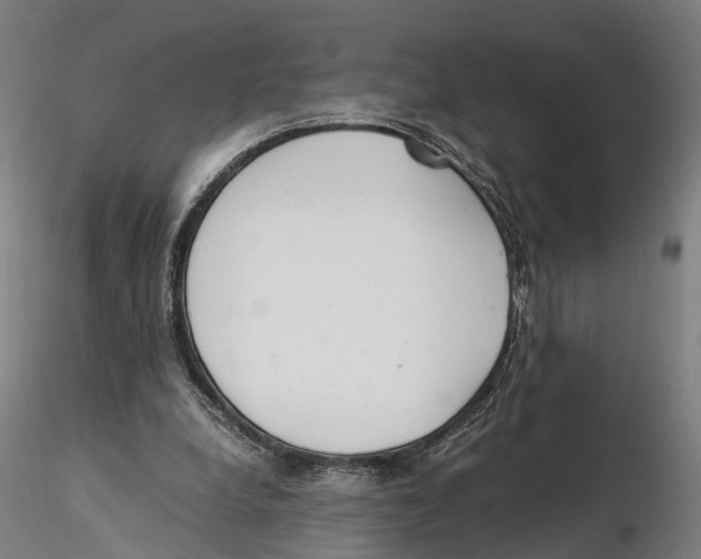 X0000115500248200912041044