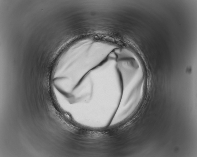 X0000115500249200912041044