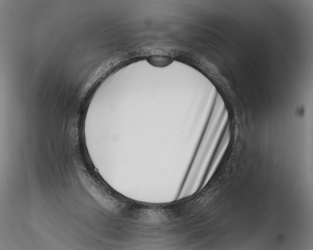 X0000115500250200912041044