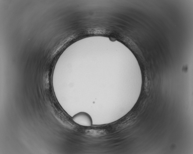 X0000115500251200912041044